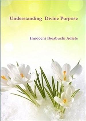 Book cover of Understanding Divine Purpose