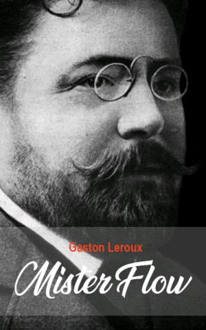 Cover of the book Mister Flow by Gaston Leroux