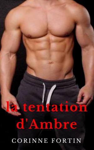 Book cover of La tentation d'Ambre