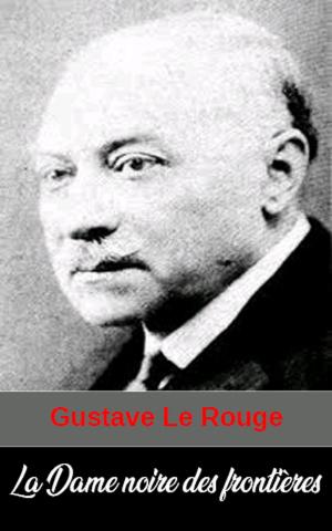 Book cover of La Dame noire des frontières