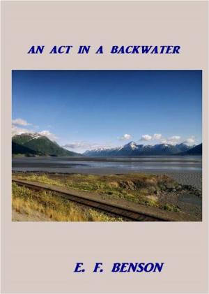 Cover of the book An Act in a Backwater by H. L. Norris