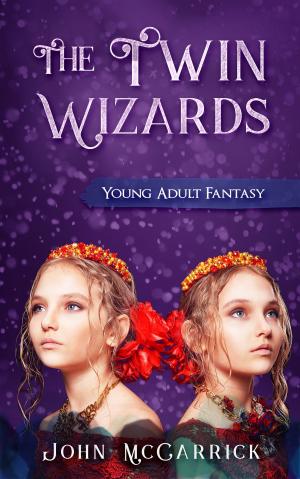 Cover of the book The Twin Wizards by Lisa G