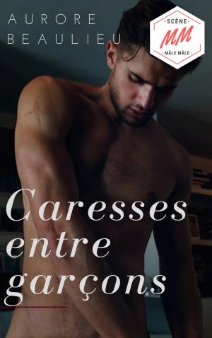 Cover of the book Caresses entre garçons by Aurore Beaulieu