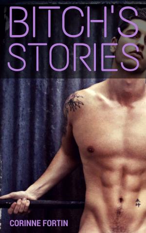 Cover of the book Bitch's Stories by Corinne Fortin