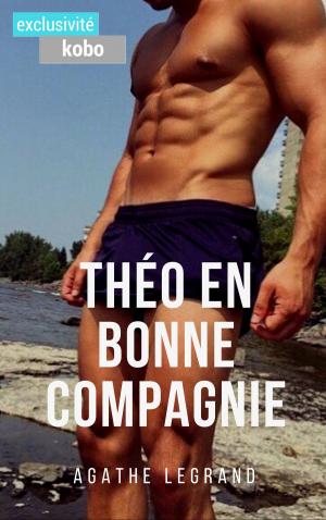 Cover of the book Théo en bonne compagnie by Chris Quinton