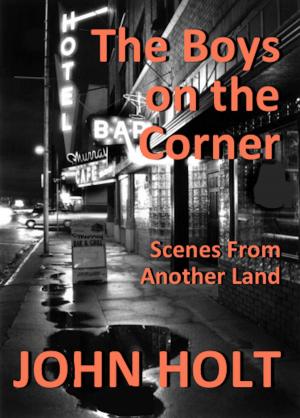 Cover of the book The Boys on the Corner by Maryjane Elizabeth Jones