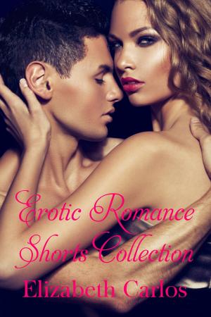 Cover of Erotic Romance Shorts Collection