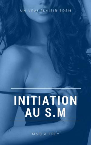 Cover of the book Initiation au S.M by Robin C Corte
