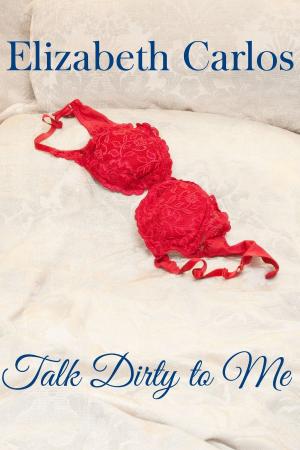 Cover of the book Talk Dirty to Me by Susan Brassfield Cogan