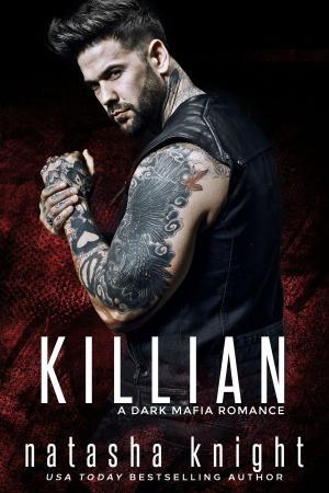 Cover of the book Killian by Gina Ardito