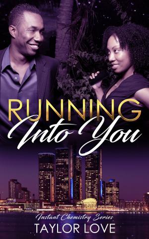 Cover of the book Running Into You by Lily Silver