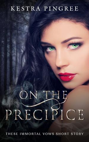 Cover of the book On the Precipice by Novalee Swan