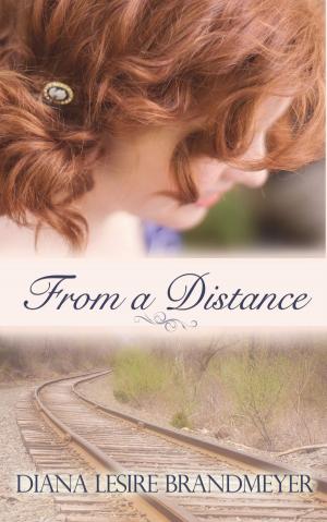 Cover of the book From a Distance by L.E. Smart