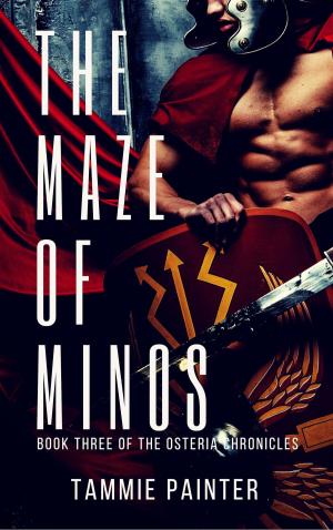 Cover of the book The Maze of Minos by Kim Vogel Sawyer