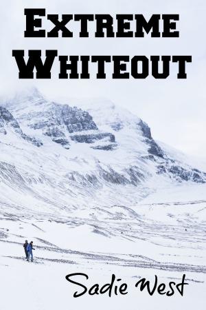 Cover of the book Extreme Whiteout by Elizabeth Hill
