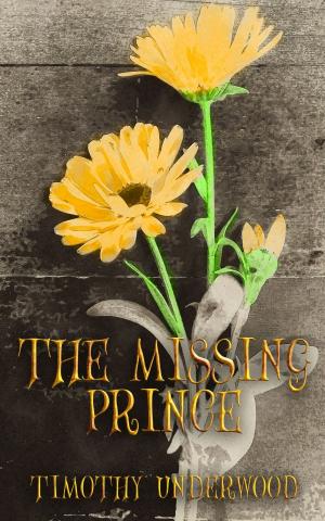 Cover of the book The Missing Prince by L.S. Matthews