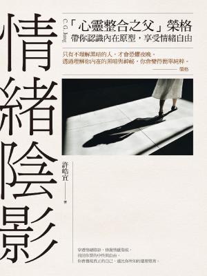 Cover of the book 情緒陰影 by Patrick Delaroche