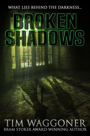 bigCover of the book Broken Shadows by 
