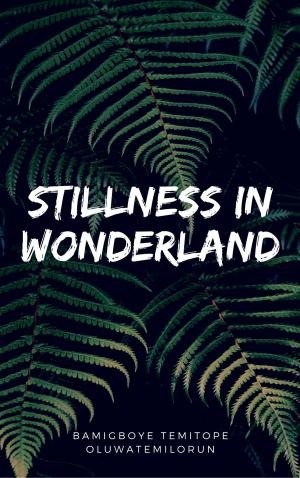 Cover of the book Stillness In Wonderland by Irusota The Poet