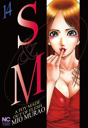 Cover of the book S and M by Sarah Carless