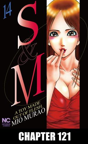 Cover of the book S and M by Shigeyuki Iwashita