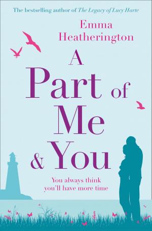 Book cover of A Part of Me and You