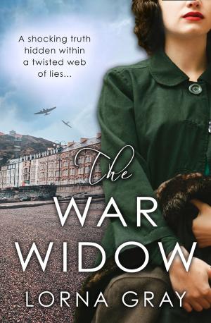 Cover of the book The War Widow by Neil Somerville