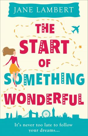 Cover of the book The Start of Something Wonderful by Tracy Leung