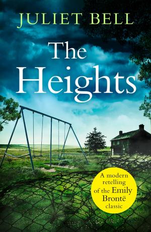 Book cover of The Heights: A dark story of obsession and revenge