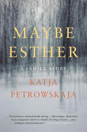 Cover of the book Maybe Esther by Phillip Margolin