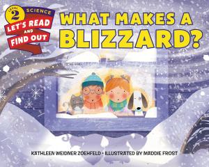 Cover of the book What Makes a Blizzard? by Seymour Simon