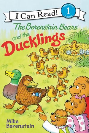 Book cover of Berenstain Bears and the Ducklings