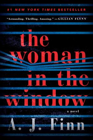 bigCover of the book The Woman in the Window by 