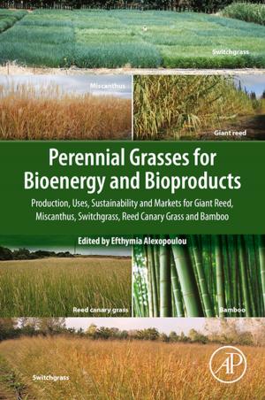 Cover of the book Perennial Grasses for Bioenergy and Bioproducts by M.N. Rao, Razia Sultana, Sri Harsha Kota, Anil Shah, Naresh Davergave