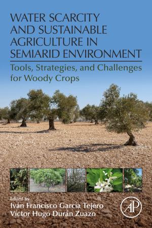 Cover of the book Water Scarcity and Sustainable Agriculture in Semiarid Environment by Maurice O'Sullivan, Rongqing Hui, Ph.D., Electrical Engineering, Politecnico di Torino, Torino, Italy