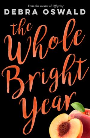 Book cover of The Whole Bright Year