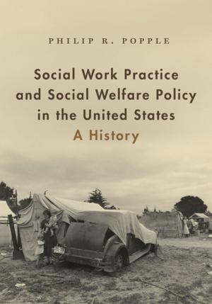 Cover of Social Work Practice and Social Welfare Policy in the United States