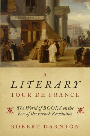 Book cover of A Literary Tour de France