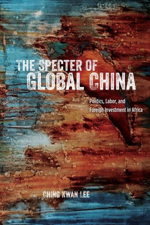 Cover of the book The Specter of Global China by Roy Wagner