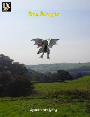 Cover of the book The Dragon by John Triggersfish
