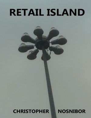 Cover of the book Retail Island by Richard M. Stoddard, Malibu Publishing