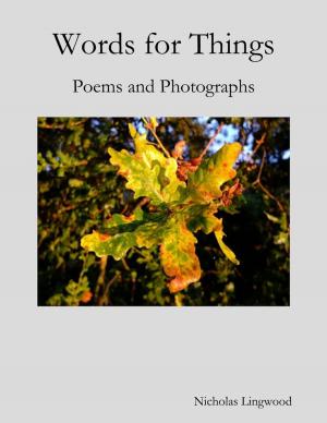 Cover of the book Words for Things: Poems and Photographs by Jennifer P. Tanabe