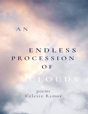 Cover of the book An Endless Procession of Clouds by Alice Ojwang