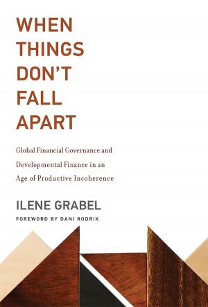 Cover of the book When Things Don't Fall Apart by Giovan Francesco Lanzara