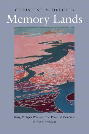 Cover of the book Memory Lands by Itamar Rabinovich