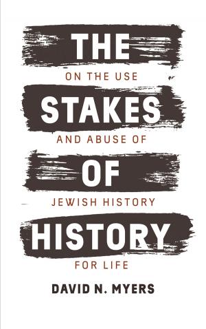 Cover of the book The Stakes of History by Rachelle Kaufman