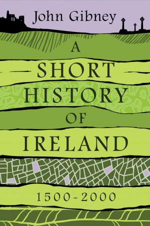 Cover of the book A Short History of Ireland, 1500-2000 by Bruce Ackerman