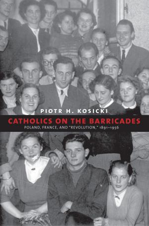 Cover of the book Catholics on the Barricades by Steve Striffler