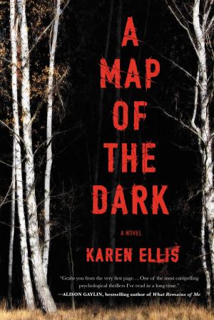 Cover of the book A Map of the Dark by Leslie Lee