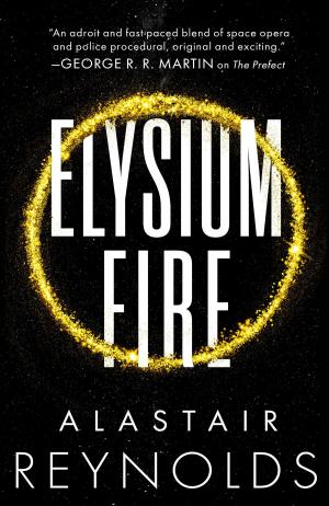 Cover of the book Elysium Fire by Philip Palmer
